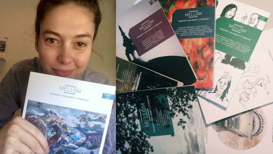 - Litteraturtidsskrifta ber eit større ansvar no