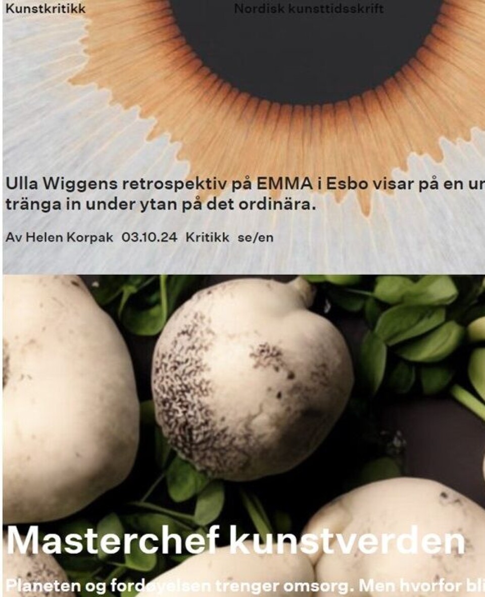 Kunstkritikk